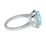 TZ Brilliance with Natural Aquamarine